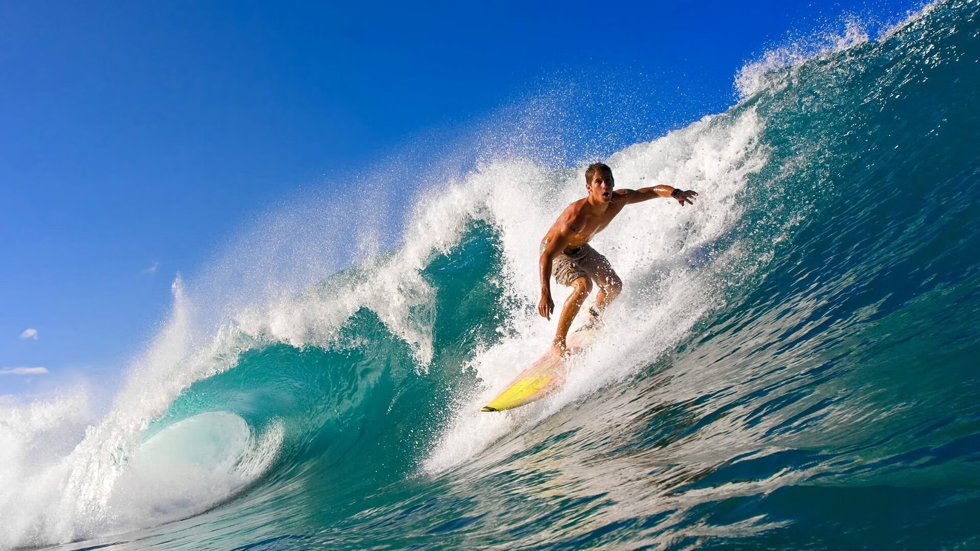 国际体操赛事高难度动作成为赛场焦点，国际体操赛事时刻表